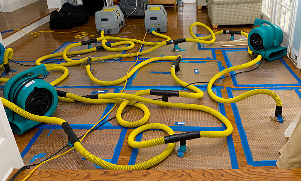 Professional Crawl Space Water Removal technician working in Falkland, NC